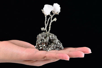 Natural Geode Agate Tree on Pyrite Base Crystals Money Tree Luck Figurine White Crystal Flower Pyrite Ornament 3-4" Tall